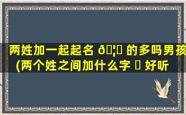 两姓加一起起名 🦋 的多吗男孩(两个姓之间加什么字 ☘ 好听)